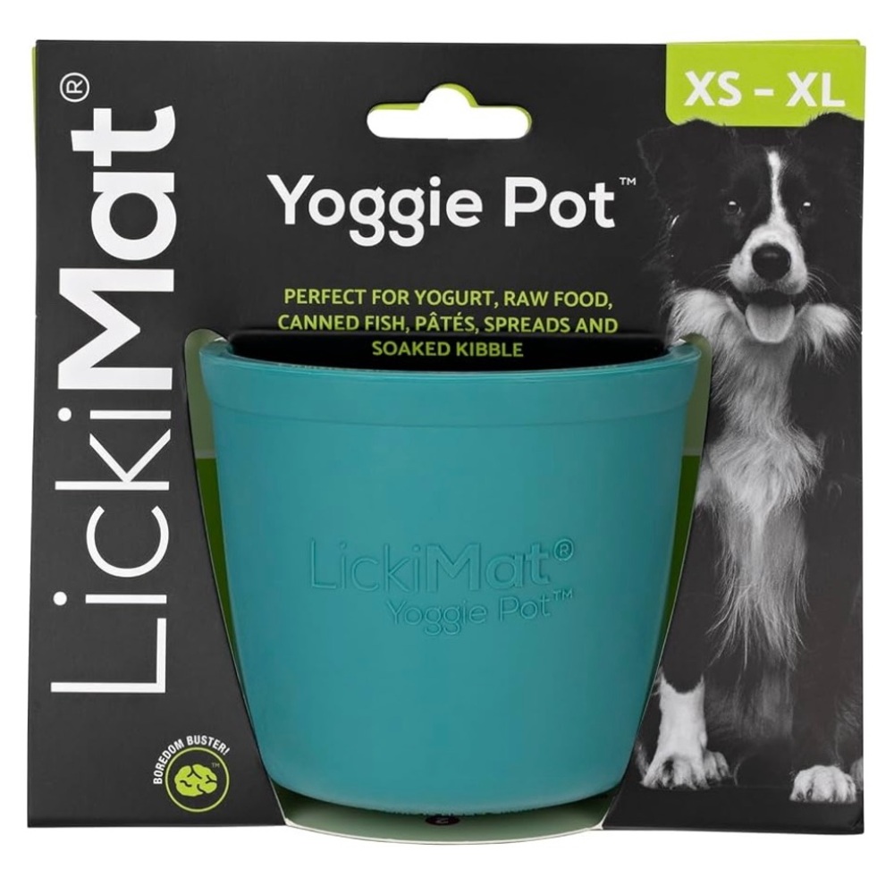 Yoggie Pot Blue Dog Bowl